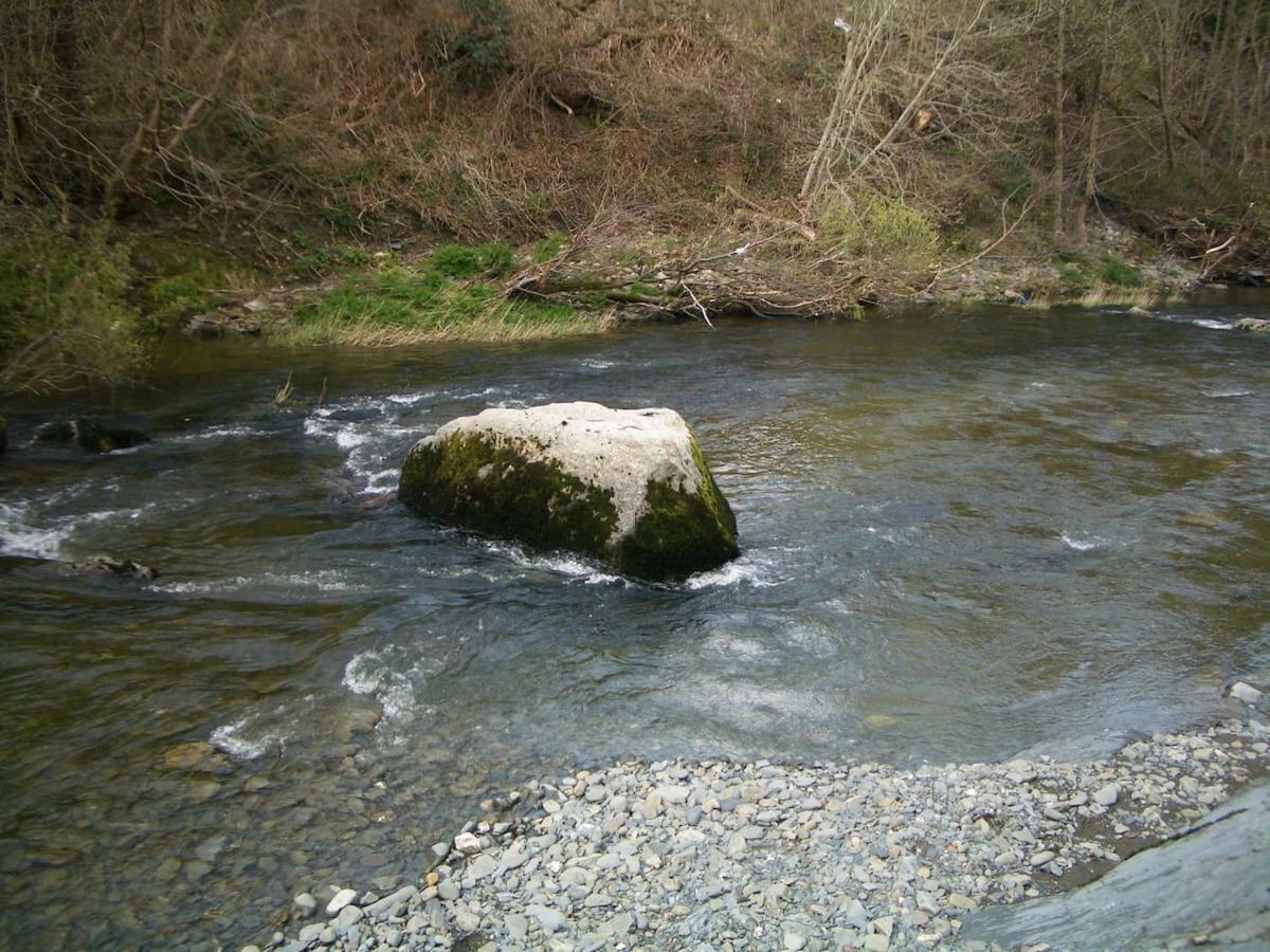 Deer House Villa Machynlleth Exteriör bild